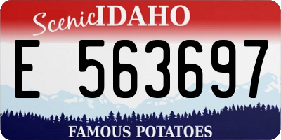 ID license plate E563697