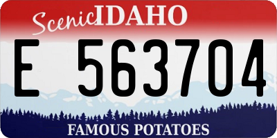 ID license plate E563704