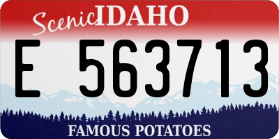 ID license plate E563713