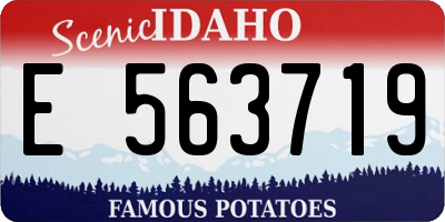 ID license plate E563719