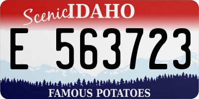 ID license plate E563723