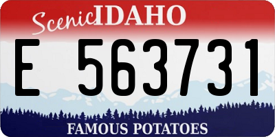ID license plate E563731