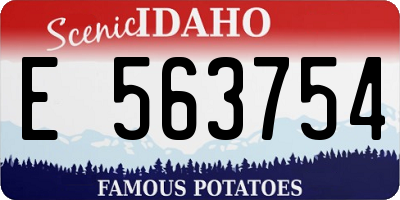 ID license plate E563754