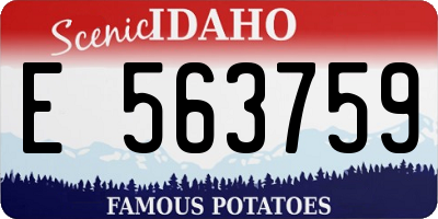 ID license plate E563759