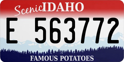ID license plate E563772
