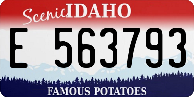 ID license plate E563793