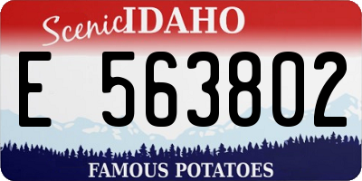 ID license plate E563802
