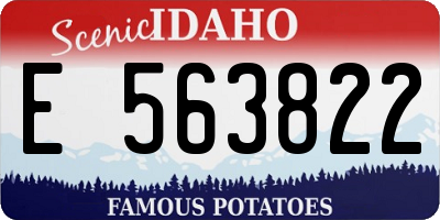 ID license plate E563822