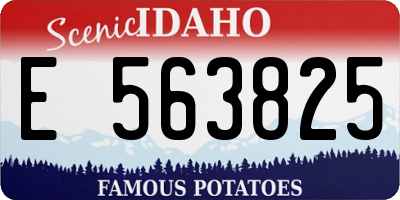 ID license plate E563825