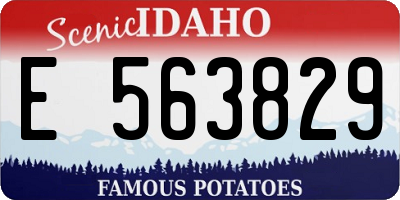 ID license plate E563829
