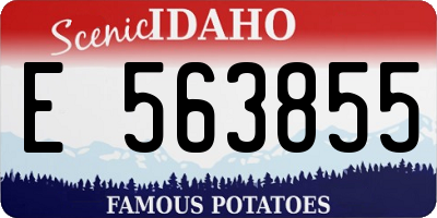 ID license plate E563855