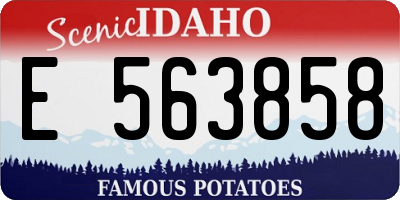 ID license plate E563858
