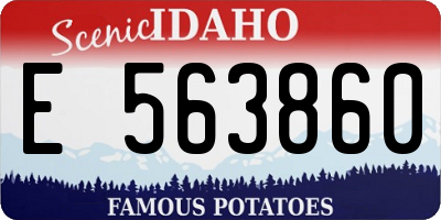 ID license plate E563860