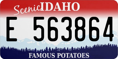 ID license plate E563864