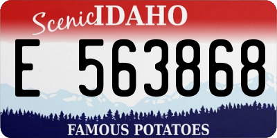 ID license plate E563868