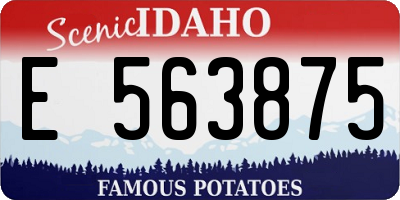 ID license plate E563875