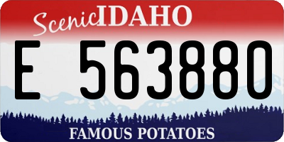 ID license plate E563880