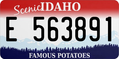 ID license plate E563891