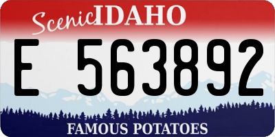 ID license plate E563892