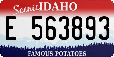 ID license plate E563893