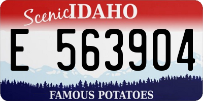 ID license plate E563904