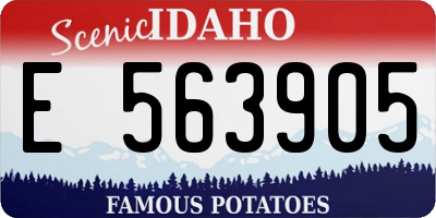 ID license plate E563905