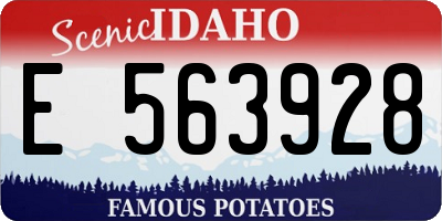 ID license plate E563928