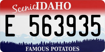 ID license plate E563935