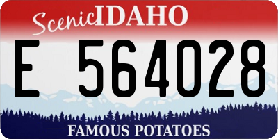 ID license plate E564028
