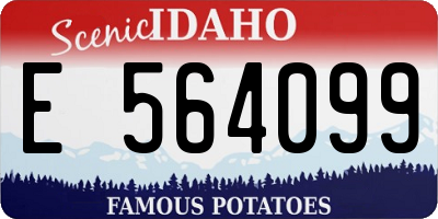 ID license plate E564099