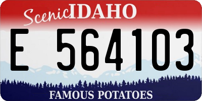 ID license plate E564103