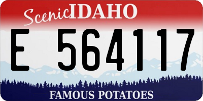 ID license plate E564117