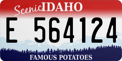 ID license plate E564124