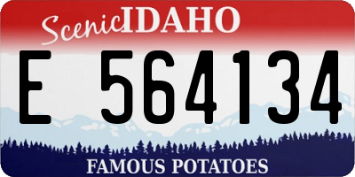 ID license plate E564134