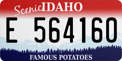 ID license plate E564160