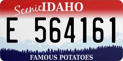 ID license plate E564161