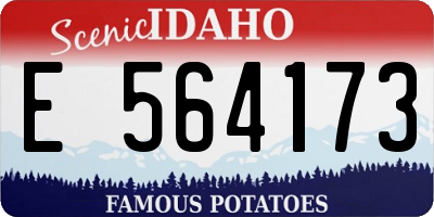 ID license plate E564173