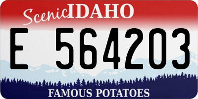 ID license plate E564203