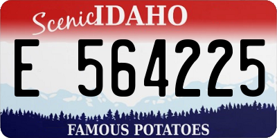 ID license plate E564225
