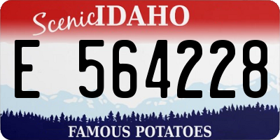 ID license plate E564228