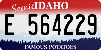 ID license plate E564229