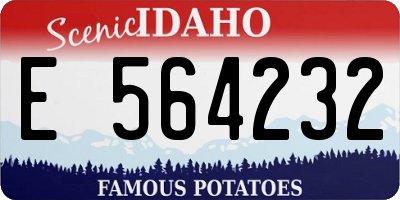 ID license plate E564232