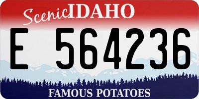 ID license plate E564236