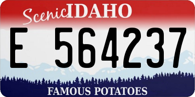 ID license plate E564237