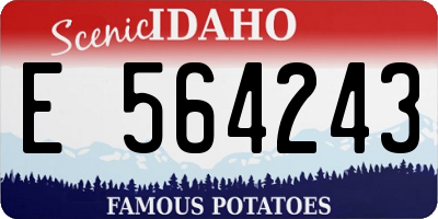 ID license plate E564243