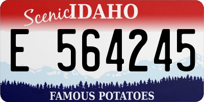 ID license plate E564245