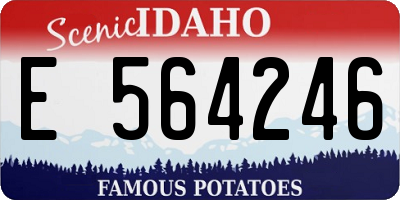 ID license plate E564246
