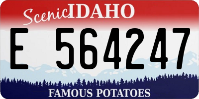 ID license plate E564247