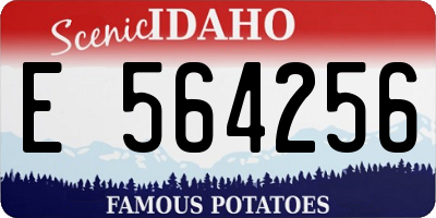 ID license plate E564256