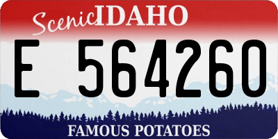 ID license plate E564260